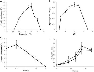 Obligate autotrophy at the thermodynamic limit of life in a new acetogenic bacterium